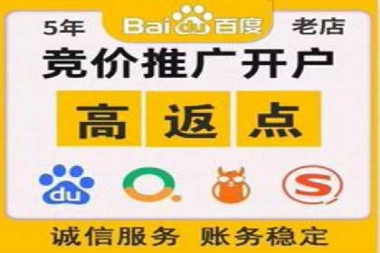 成功利用百度竞价赚钱的五大案例